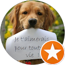 Maryline Pattin Maryline Pattin