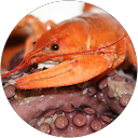 Viorel Birsan Viorel Birsan